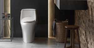 Alasan Kenapa Closet Monoblok Jadi Pilihan Kamar Mandi Modern